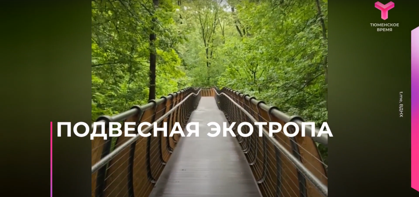 Подвесная экотропа