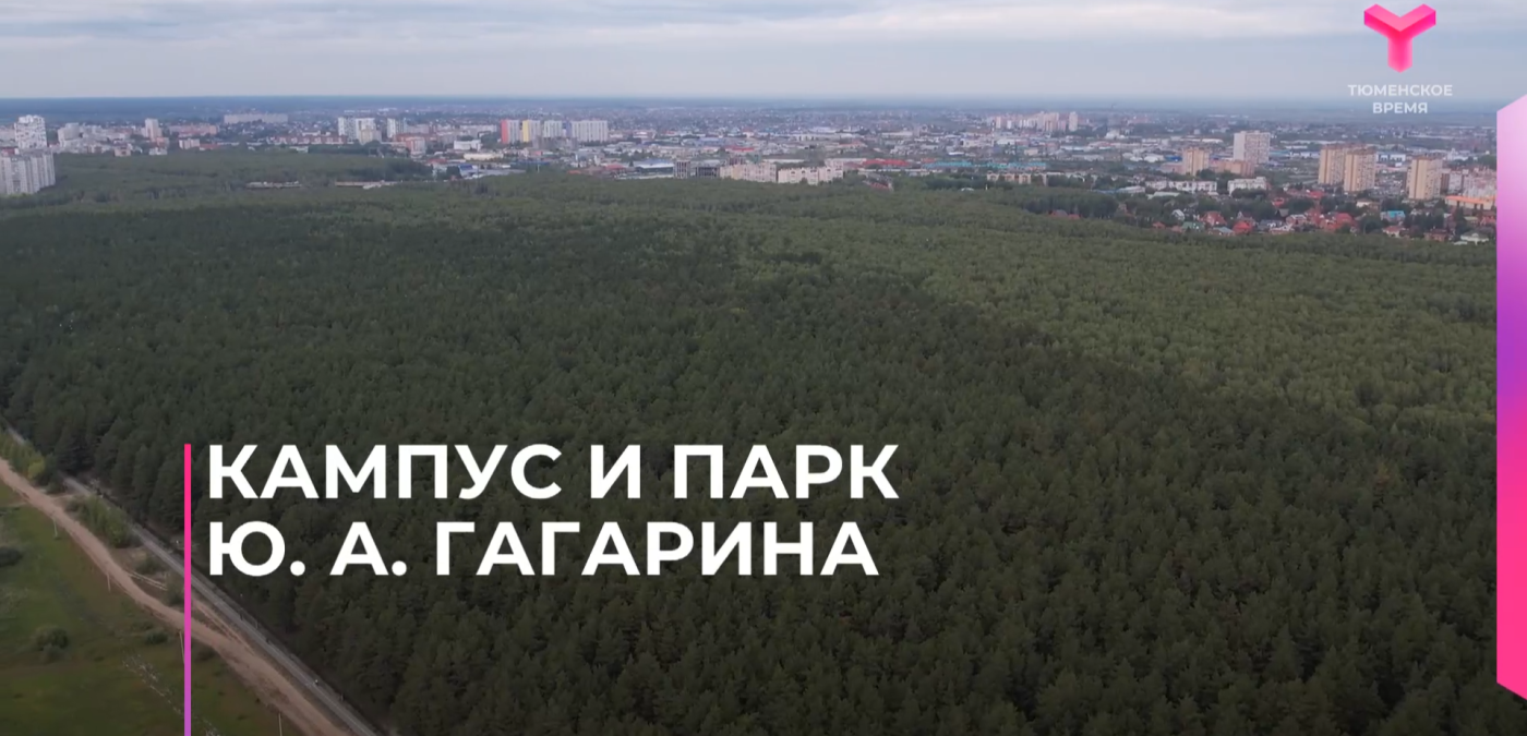Строительство тюменского кампуса не затронет Гагаринский парк