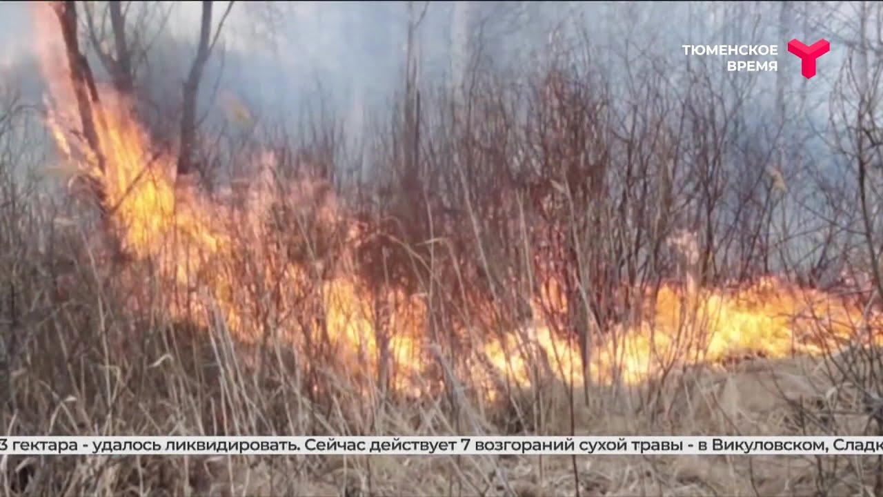 Пожар в тюменской области сейчас карта