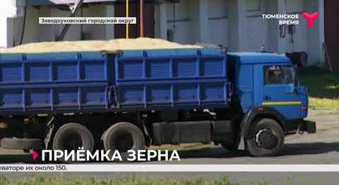 Заводоуковский элеватор примет 88 тысяч тонн сырого зерна