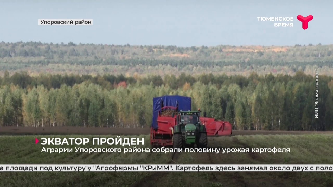 Аграрии Упоровского района собрали половину урожая картофеля